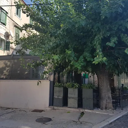 Center * Сплит