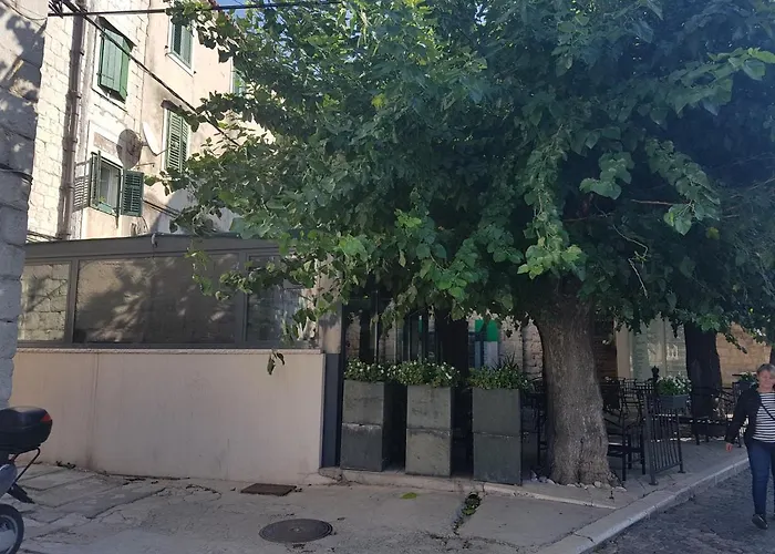 Center * スプリト